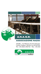 Mobile Screenshot of anasb.it